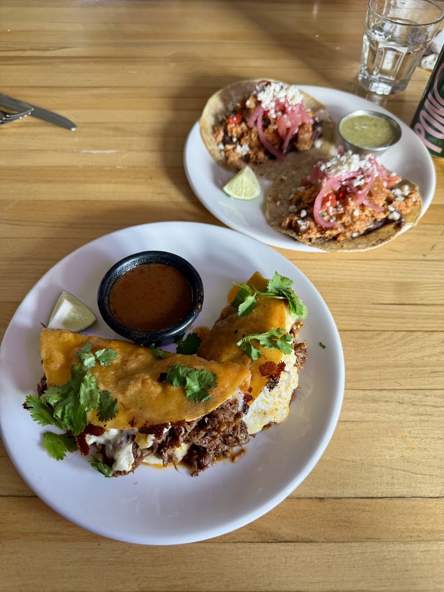 Gato Sutton Photos 2